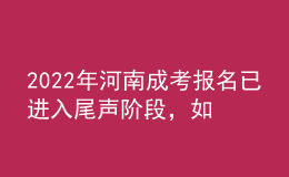 2022年河南成考报名已进入尾声阶段，如何有效避免踩坑?