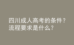 四川成人高考的条件？流程要求是什么？