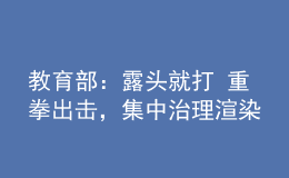 教育部：露头就打 重拳出击，集中治理渲染升学焦虑等恶意炒作行为