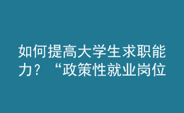 如何提高大学生求职能力？“政策性就业岗位”有哪些？这个培训班全讲了！