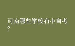 河南哪些学校有小自考?