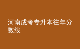 河南成考专升本往年分数线