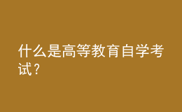 什么是高等教育自学考试？