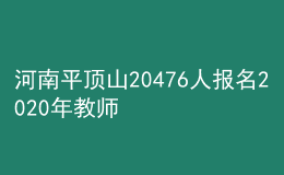 河南平顶山20476人报名2020年教师资格考试