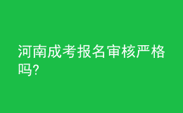 河南成考报名审核严格吗?