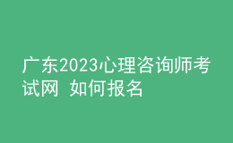 广东2023心理咨询师考试网 如何报名 具体的报名入口