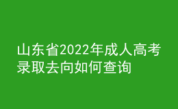 山东省2022年成人高考录取去向如何查询？通知书怎么发放？