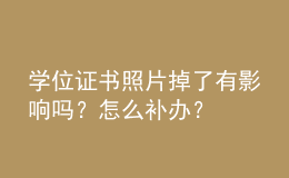 学位证书照片掉了有影响吗？怎么补办？ 