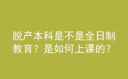 脱产本科是不是全日制教育？是如何上课的？