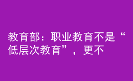 教育部：职业教育不是“低层次教育”，更不是“淘汰教育”