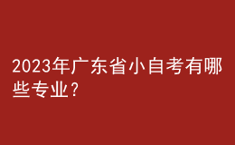 2023年广东省小自考有哪些专业？ 