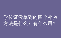 学位证没拿到的四个补救方法是什么？有什么用？ 