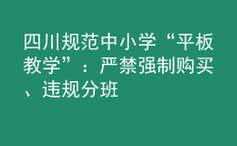 四川规范中小学“平板教学”：严禁强制购买、违规分班