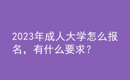 2023年成人大学怎么报名，有什么要求？