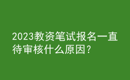 2023教资笔试报名一直待审核什么原因？