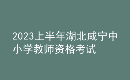 2023上半年湖北咸宁中小学教师资格考试笔试报名审核公告