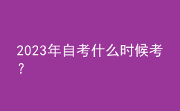 2023年自考什么时候考？ 