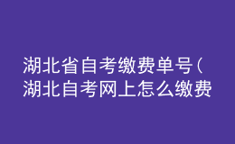 湖北省自考缴费单号(湖北自考网上怎么缴费)