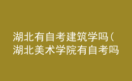 湖北有自考建筑学吗(湖北美术学院有自考吗)