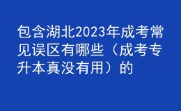 包含湖北2023年成考常见误区有哪些（成考专升本真没有用）的词条