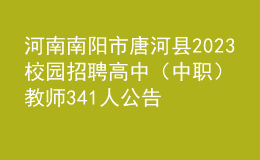河南南阳市唐河县2023校园招聘高中（中职）教师341人公告