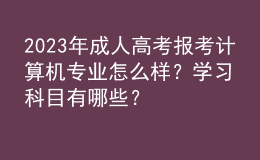 2023年成人高考报考计算机专业怎么样？学习科目有哪些？