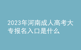 2023年河南成人高考大专报名入口是什么？复习方法有哪些？