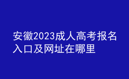 安徽2023成人高考报名入口及网址在哪里？