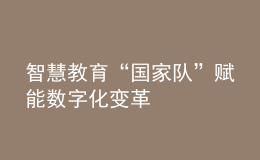 智慧教育“国家队”赋能数字化变革