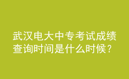 武汉电大中专考试成绩查询时间是什么时候？