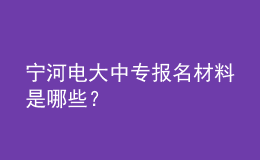 宁河电大中专报名材料是哪些？