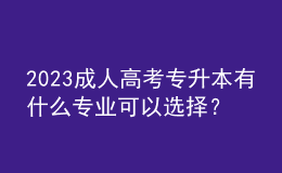 2023成人高考专升本有什么专业可以选择？