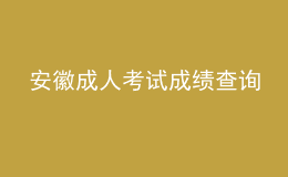 安徽成人考试成绩查询