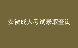 安徽成人考试录取查询