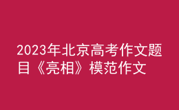 2023年北京高考作文题目《亮相》模范作文