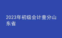 2023年初级会计查分山东省