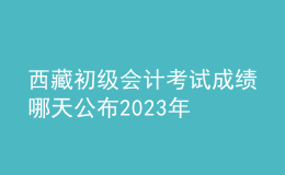 西藏初级会计考试成绩哪天公布2023年