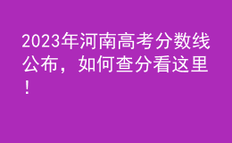 2023年河南高考分数线公布，如何查分看这里！