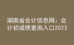 湖南省会计信息网：会计初成绩查询入口2023