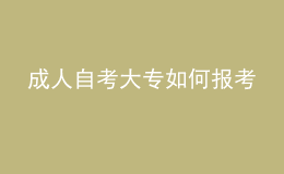 成人自考大专如何报考 