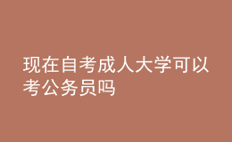 现在自考成人大学可以考公务员吗 