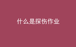 什么是探伤作业