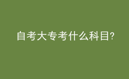 自考大专考什么科目?