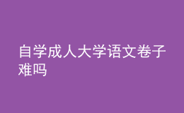 自学成人大学语文卷子难吗 