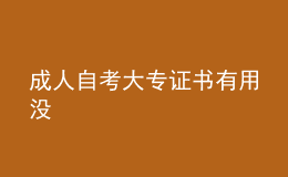 成人自考大专证书有用没 