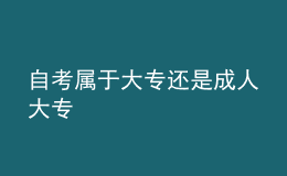 自考属于大专还是成人大专 