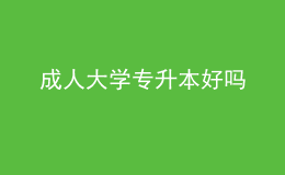 成人大学专升本好吗