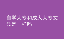 自学大专和成人大专文凭是一样吗 