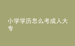 小学学历怎么考成人大专