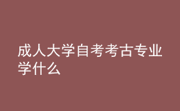 成人大学自考考古专业学什么